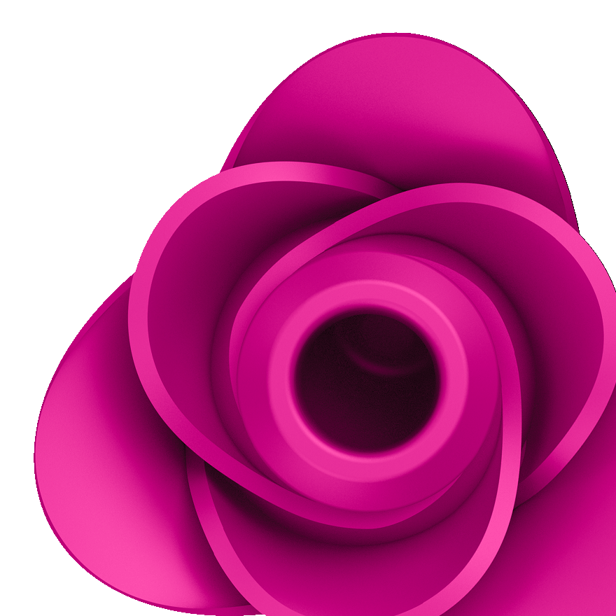 Satisfyer Pro 2 Modern Blossom Air Pulse Vibrator