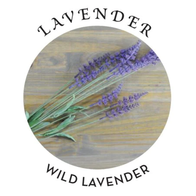 Earthly Body Hemp Seed Massage Oil Lavender Scent 2 oz