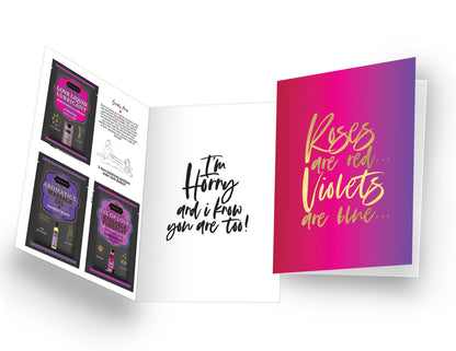 KAMA SUTRA Naughty Notes Holiday Prepack