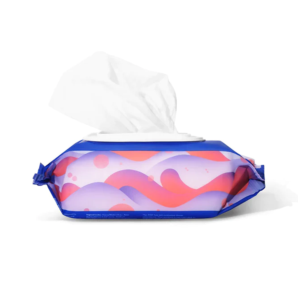 Dame Body Wipes Pouch 25 count