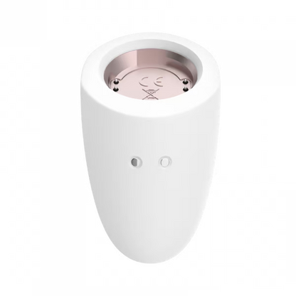 Satisfyer Marvelous Four Set