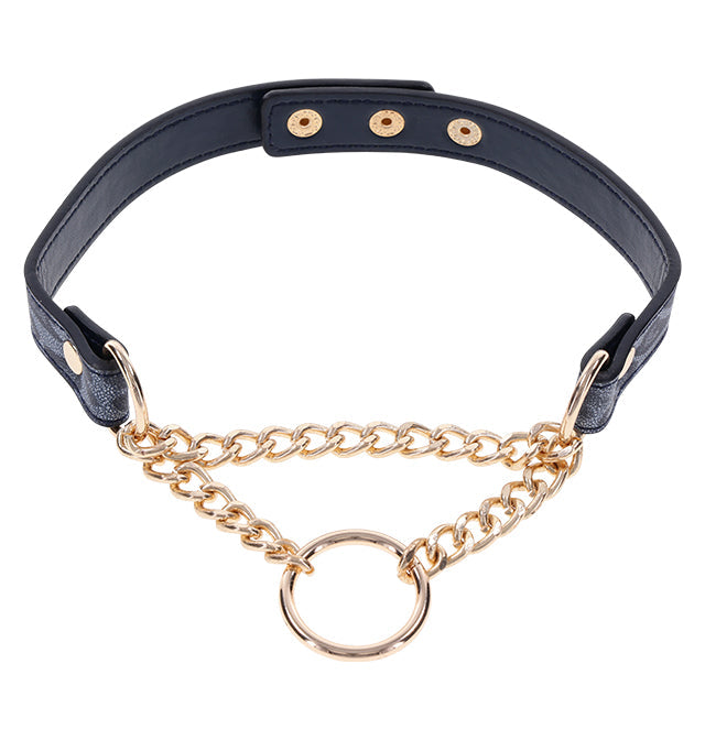 Sportsheets Sex & Mischief Cougar Day Collar